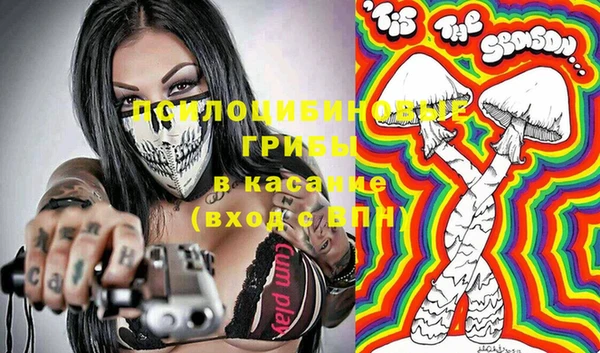 ГАЛЛЮЦИНОГЕННЫЕ ГРИБЫ Володарск