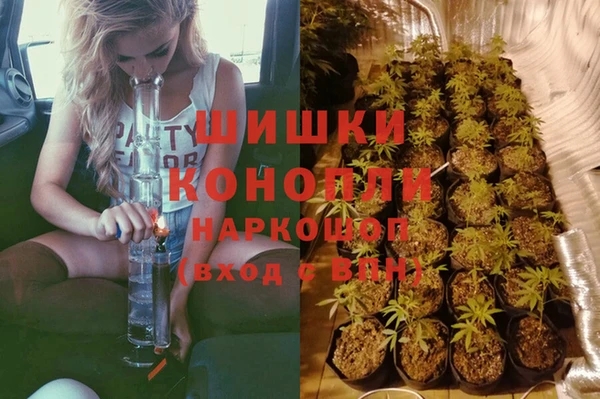 ECSTASY Волосово