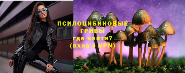 ECSTASY Волосово